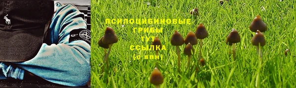соль ск Кинешма