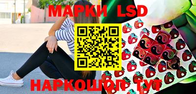 кокс Бийск
