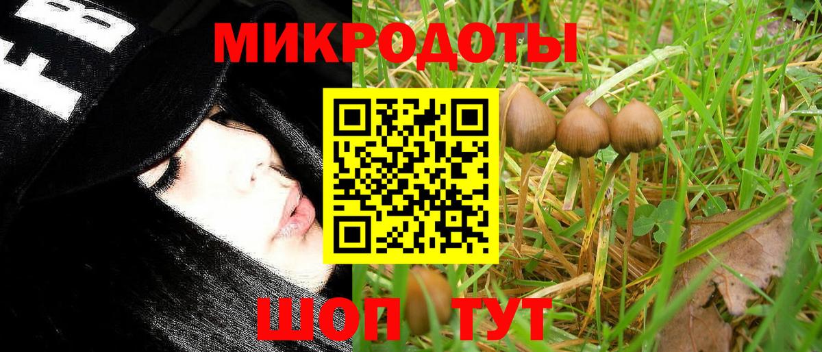 Галлюциногенные грибы Урюпинск