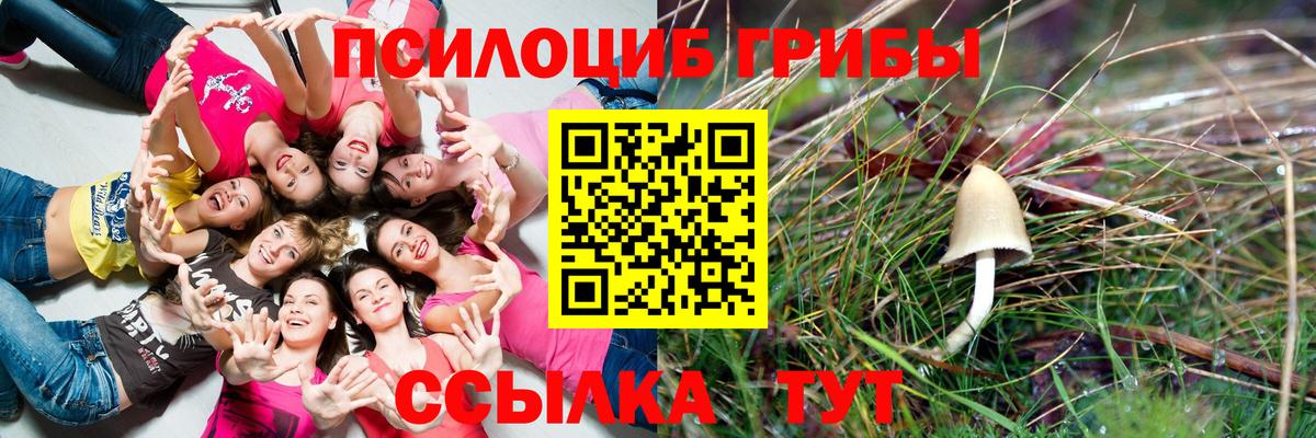 Галлюциногенные грибы Psilocybine cubensis  Галлюциногенные грибы Magic Shrooms  Урюпинск  Вход с VPN 